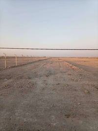 ١٢ دونم • طابو زراعي سند ٢٥ • منطقة الصياحيه
