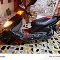 سكنس فحل • مكفوله • اوراق كامله