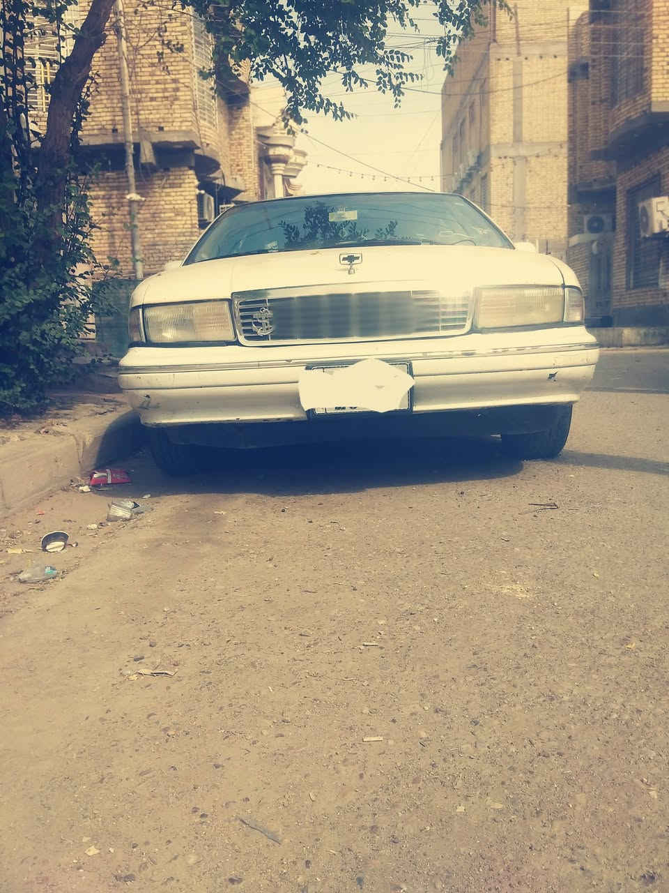 كابرس دولفين • للبيع • سعر خاص