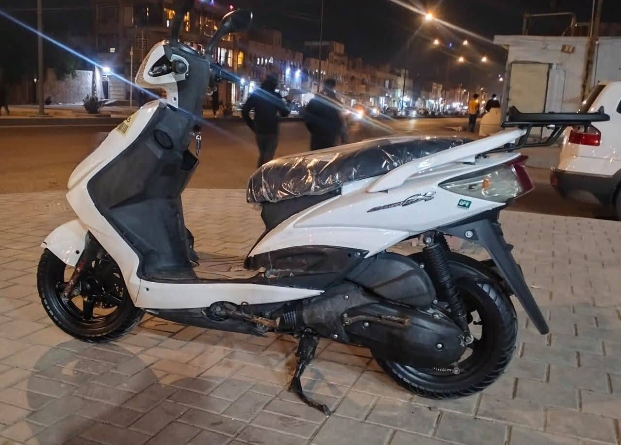 سكنس فحل • ياباني • مكفوله