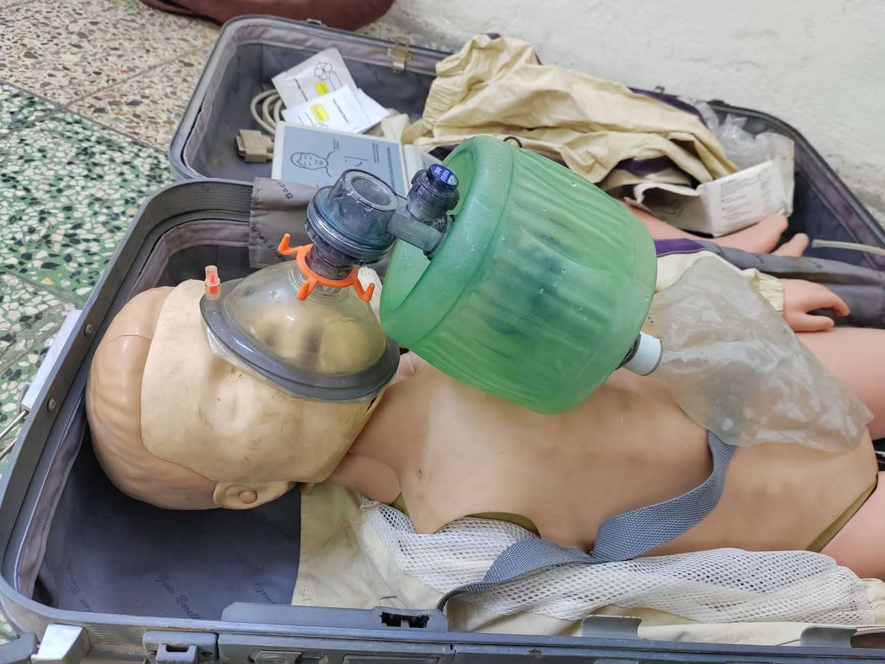 دمية تعليمية • جودة عالية • PCR