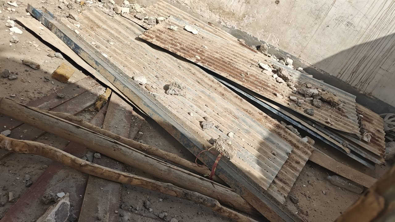 شيلمان ٥م • جينكو ٢٤ • بيبان ٤