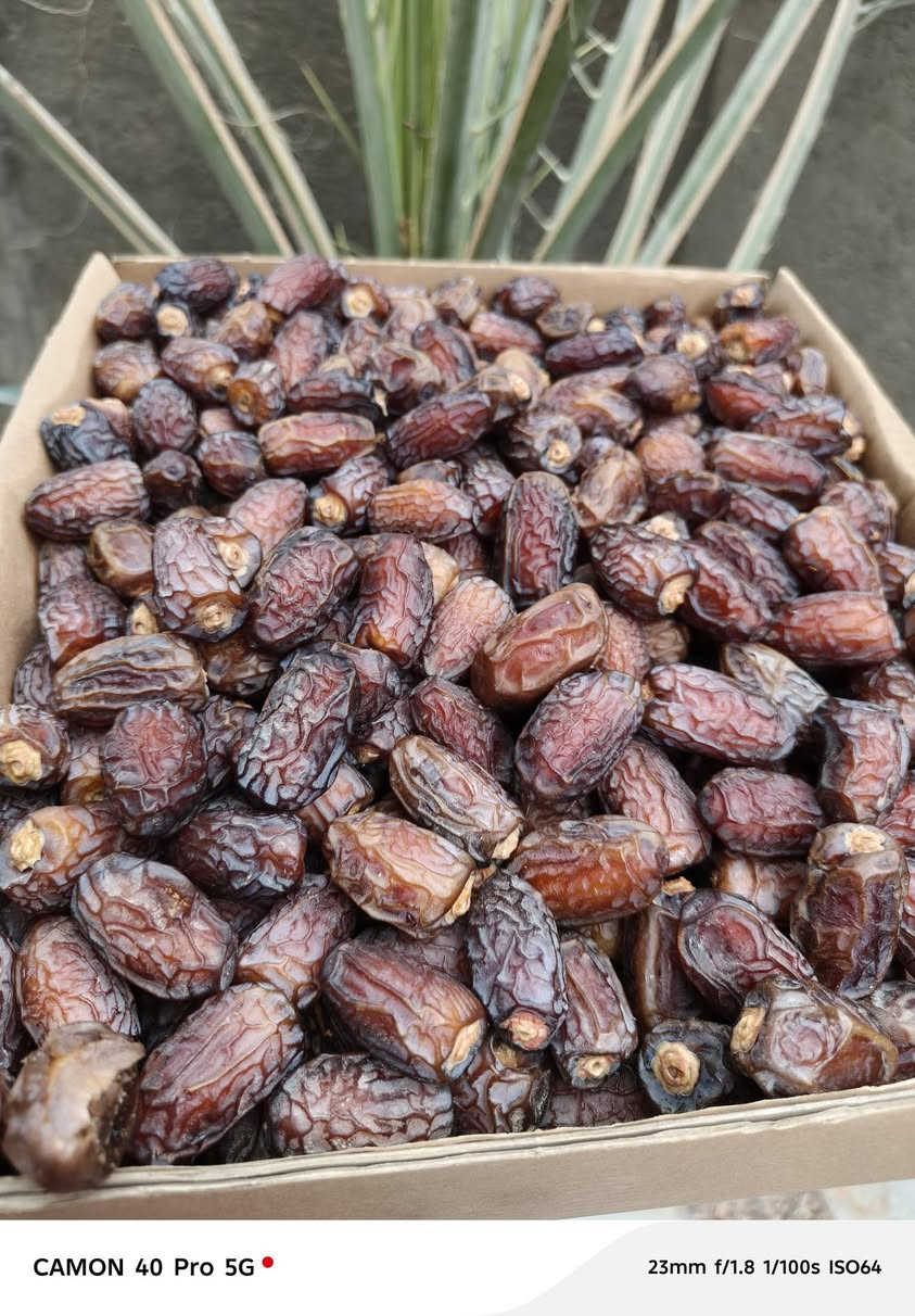 تمر بريم لاوي • ناشف • مبسول