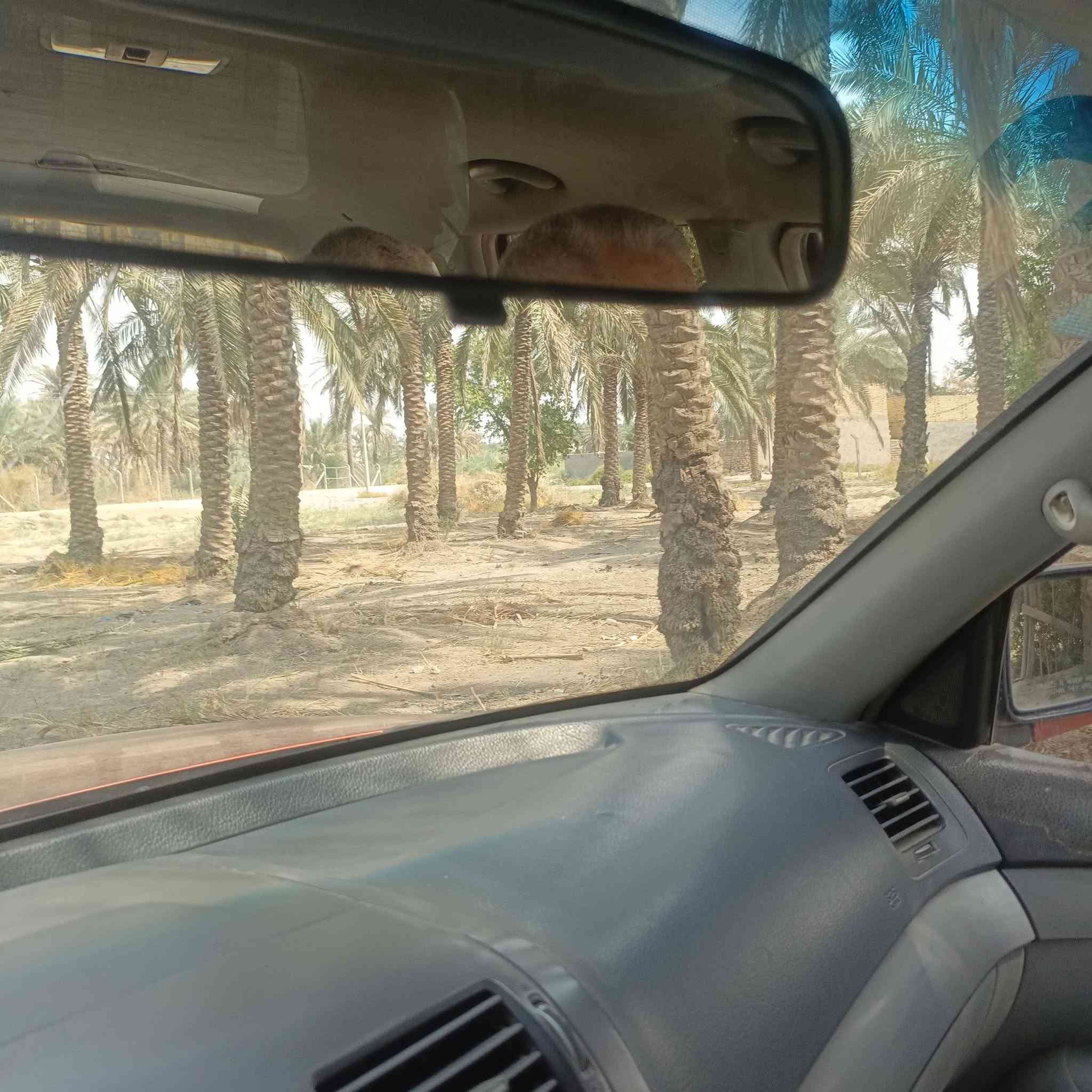 العماديه • طابو زراعي • ٥٩٠٠م