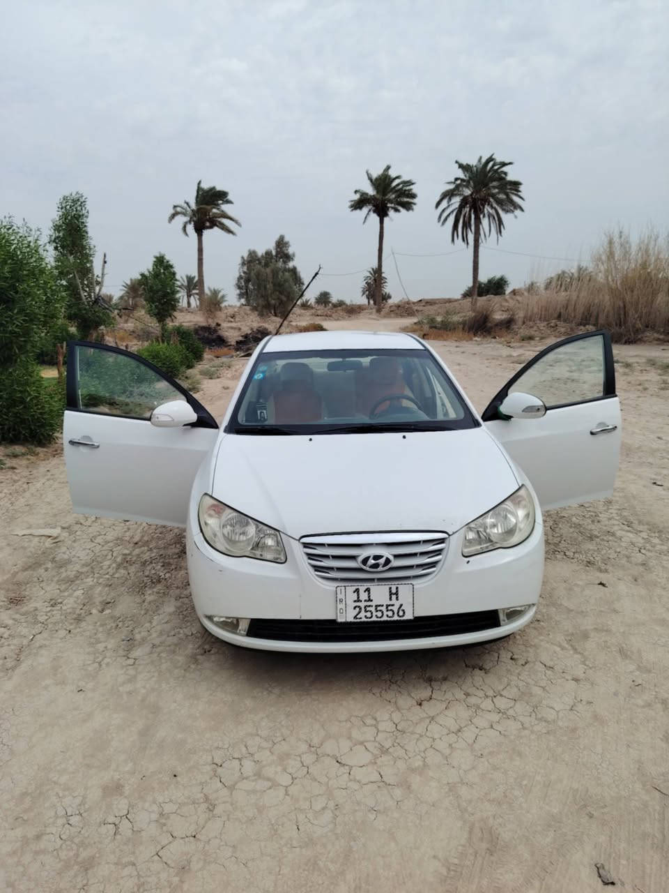 النترا • ٢٠١١ • بابل جبله