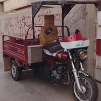 ستوته • ٢٠١٩ • فحل