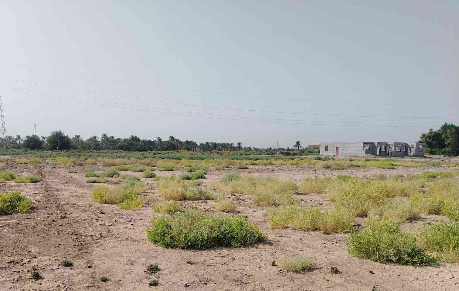 بالمزبانيه ع الشط • ٣ دونم • تأسيس كامل