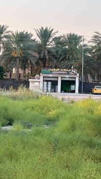 المحاويل • ٩٦٥م • سند٢٥