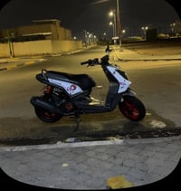 سكنس جبلي • كامله • بصره
