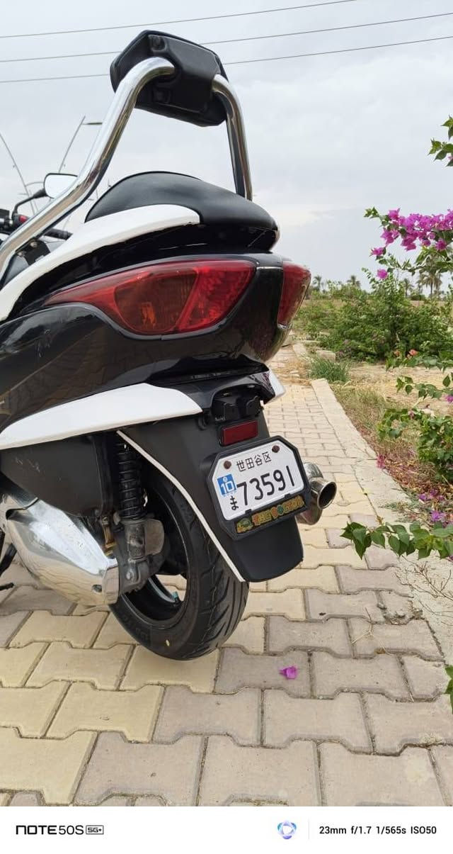 فورزة • فيديو • ديالى السعديه