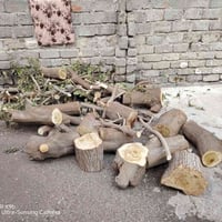 حطب • خشب • وقود