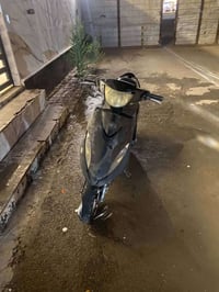 ماكس عدله • مكفوله • سلف