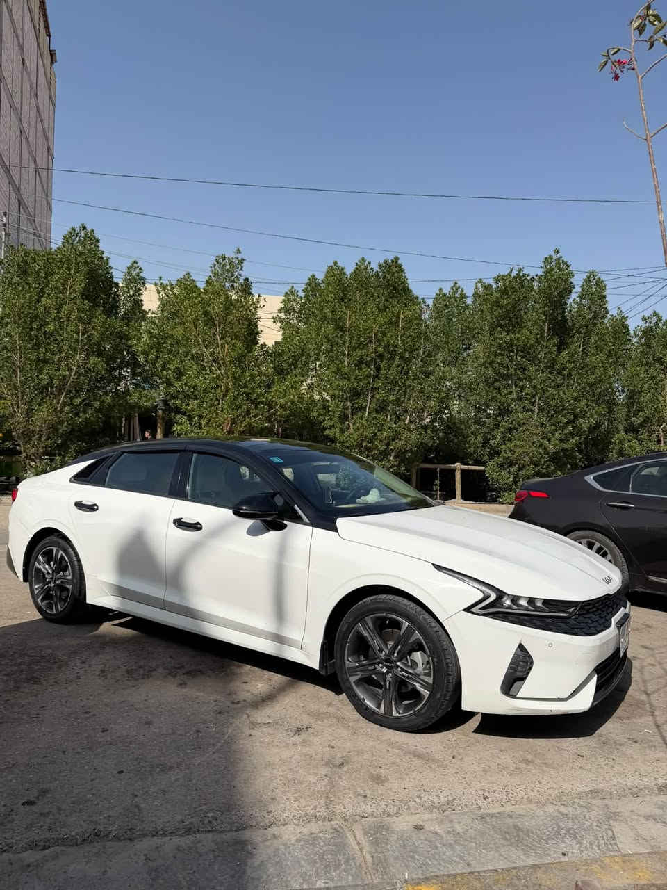 السلام عليكم K5خليجي  فول موديل 2023
ماشيه 100 الف
كفاله عامه 
بيها رصعات بسيطه جداً 
محرك ٢٠٠٠ دوش
بانوراما
بصمه
كشنات مخمل
كشن سايق كهرباء
حساس امامي خلفي
شاشه كار بلي
كامره خلفيه
مود درايف 5 وضعيات قياده
تبريد شاشه
بكلايت لد متصل
لايت 4 عدسات زنون
لد نهاري
ويل ١٨
تشغيل عن بعد
نضام ترحيب
زارعلها نظام لدات داخليه متكامله 
تغليف من الخارج وكتات 
رقم بغداد
السعر 205 وبيها مجال بسيط للشراي 
للاتصال *********** 

ملاحظة السياره مناقصها اي شي وكله وضع الشركه وحدادية ومكينه وگير 100‎%‎
