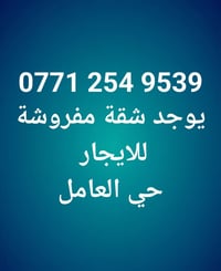 شقة مفروشة • ايجار • حي العامل