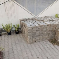 ١٠٠٠ طابوكة مقرنص • ٣٠ متر • نظيفات جدا
