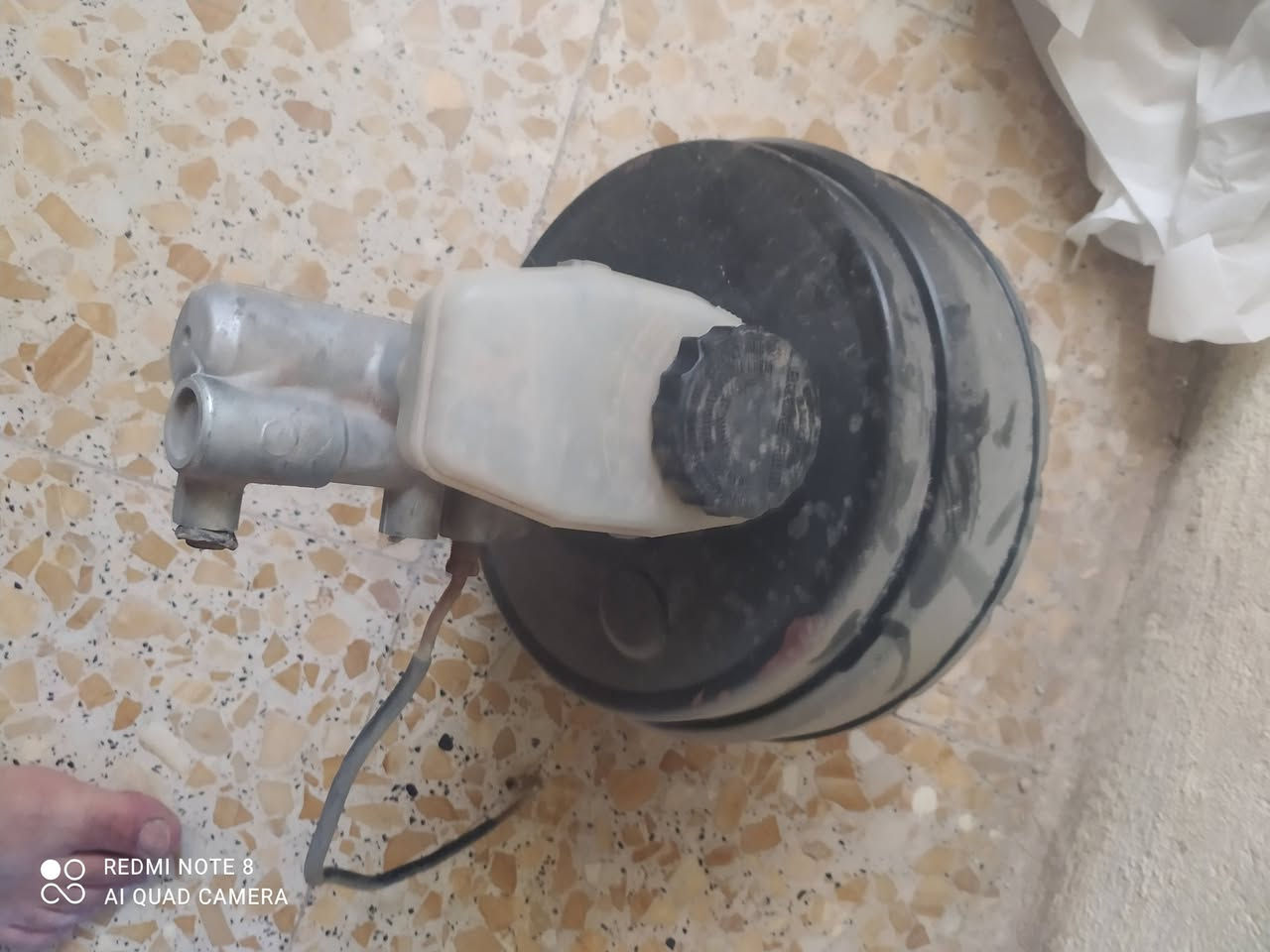 انبار • كشنات • بطه