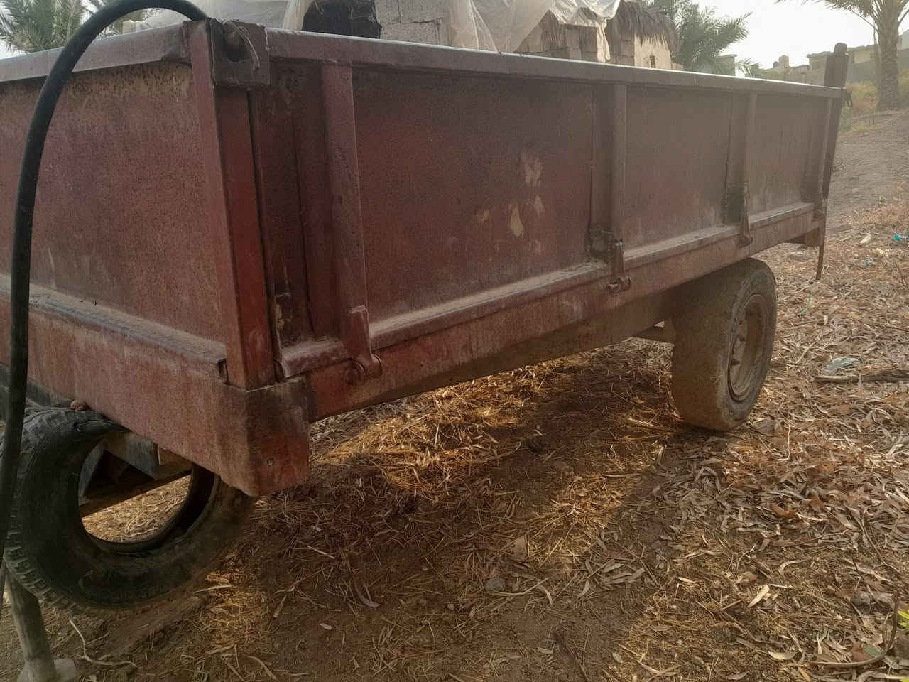 عريانة • قلاب جاهز • ديالى