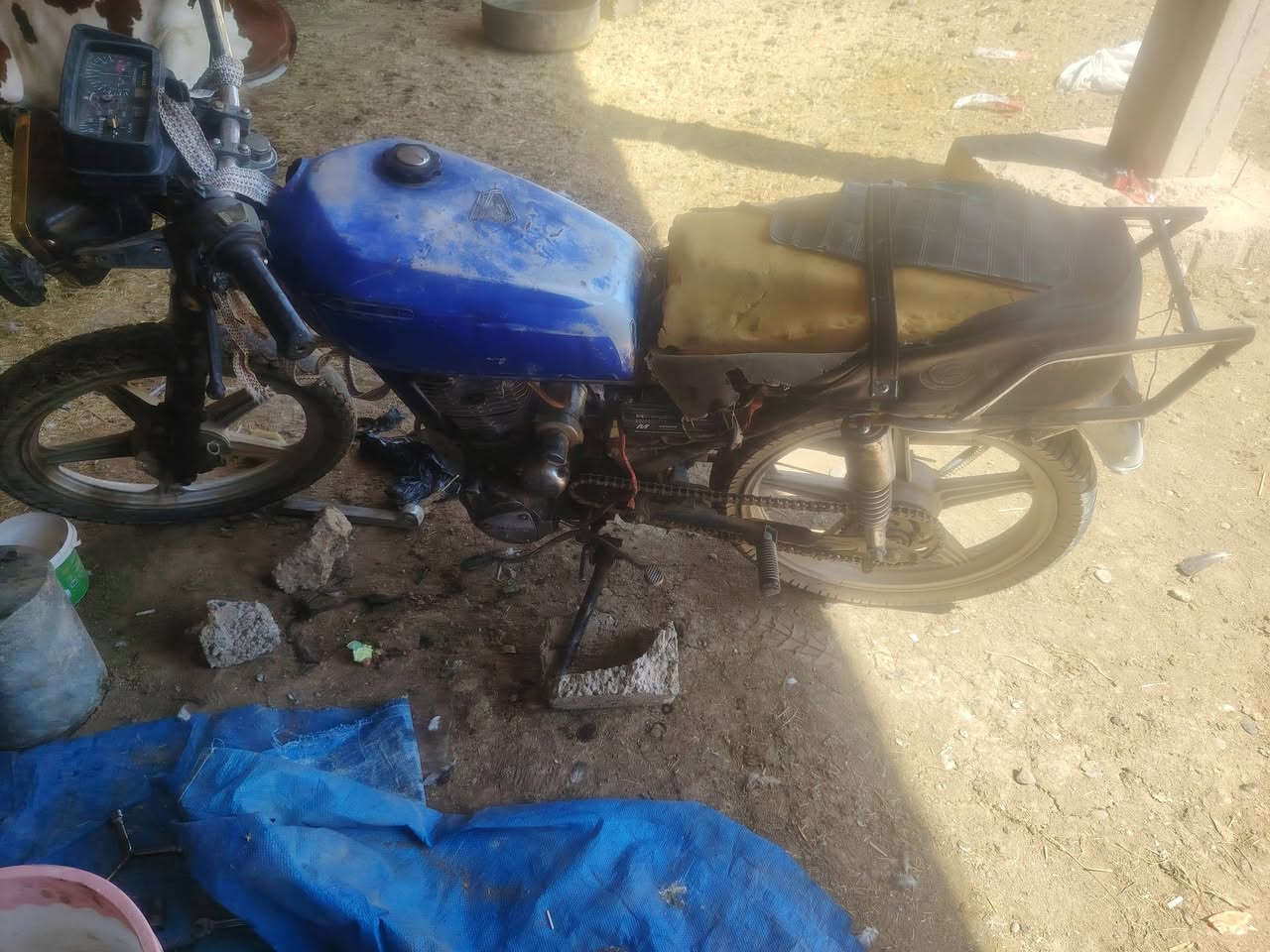 سلام عليكم
مطور للبيع جاهز من كلشي عايزو دبلات وجاملق

سعر 160 وبي مجال 

اتصل***********

