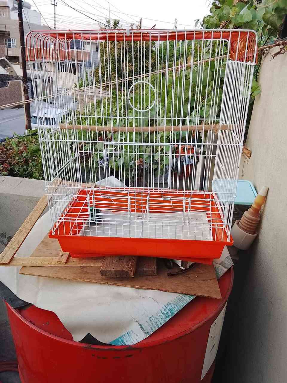 قفص كبير طول 2متر عرض 1متر نزال 70سم 
برهم طيور حب و كوكتيل وبلابل وغندور جديد او تفصال شغل درجه اؤله سعرها 80بي مجال 
أو عندي قفص اصغار مال بلبل أو كناري 2سعرها 10الف 
للتواصل واتساب *********** عنؤان كركوك حي عسكري
