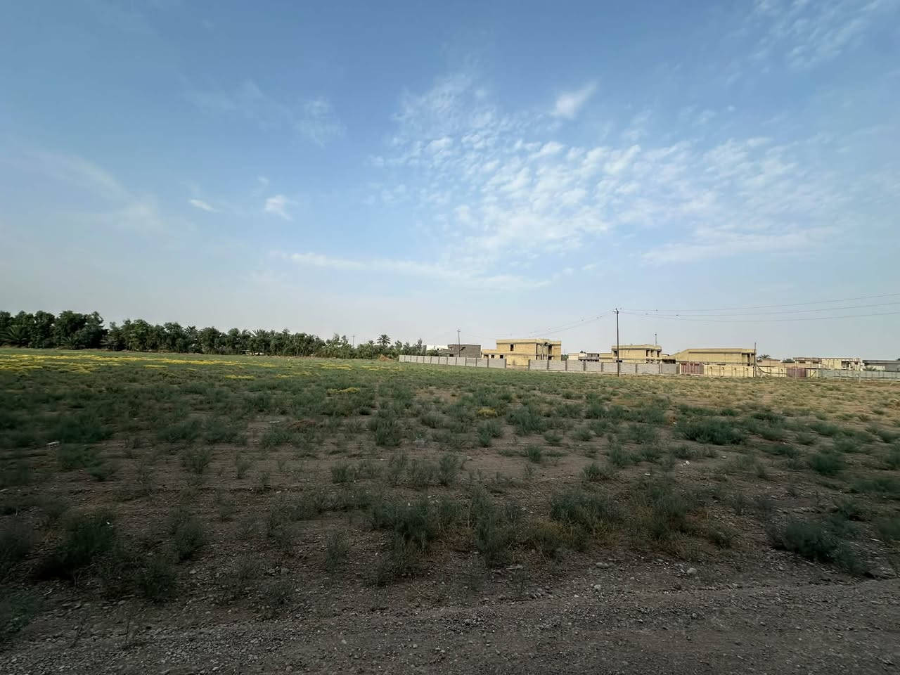 ١-٤ دوانم • سند ٢٥ • ناحية الرشيد