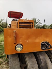 بابل السده • مطاطيه • انكليزي