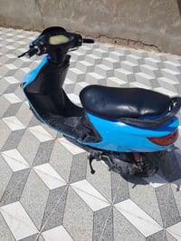 فحل • دسك • مامفتوح