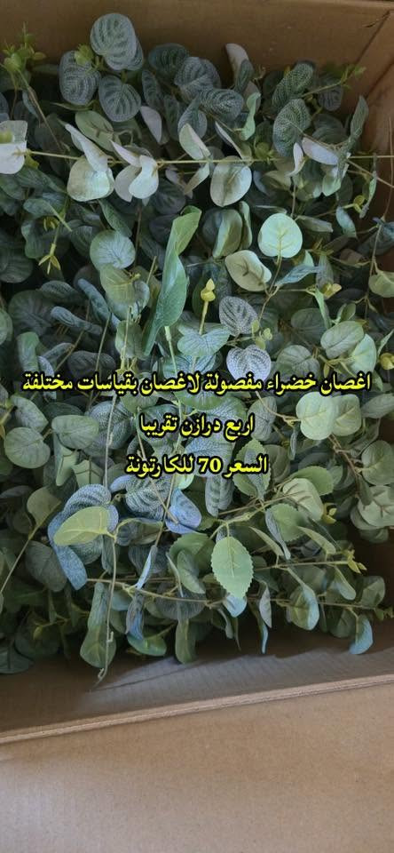 للبيع ورد شبه جديد مستخدم مرة، مرتين
للتواصل : *********** 
الموقع بغداد محافظات لازم توفرون سايق.
