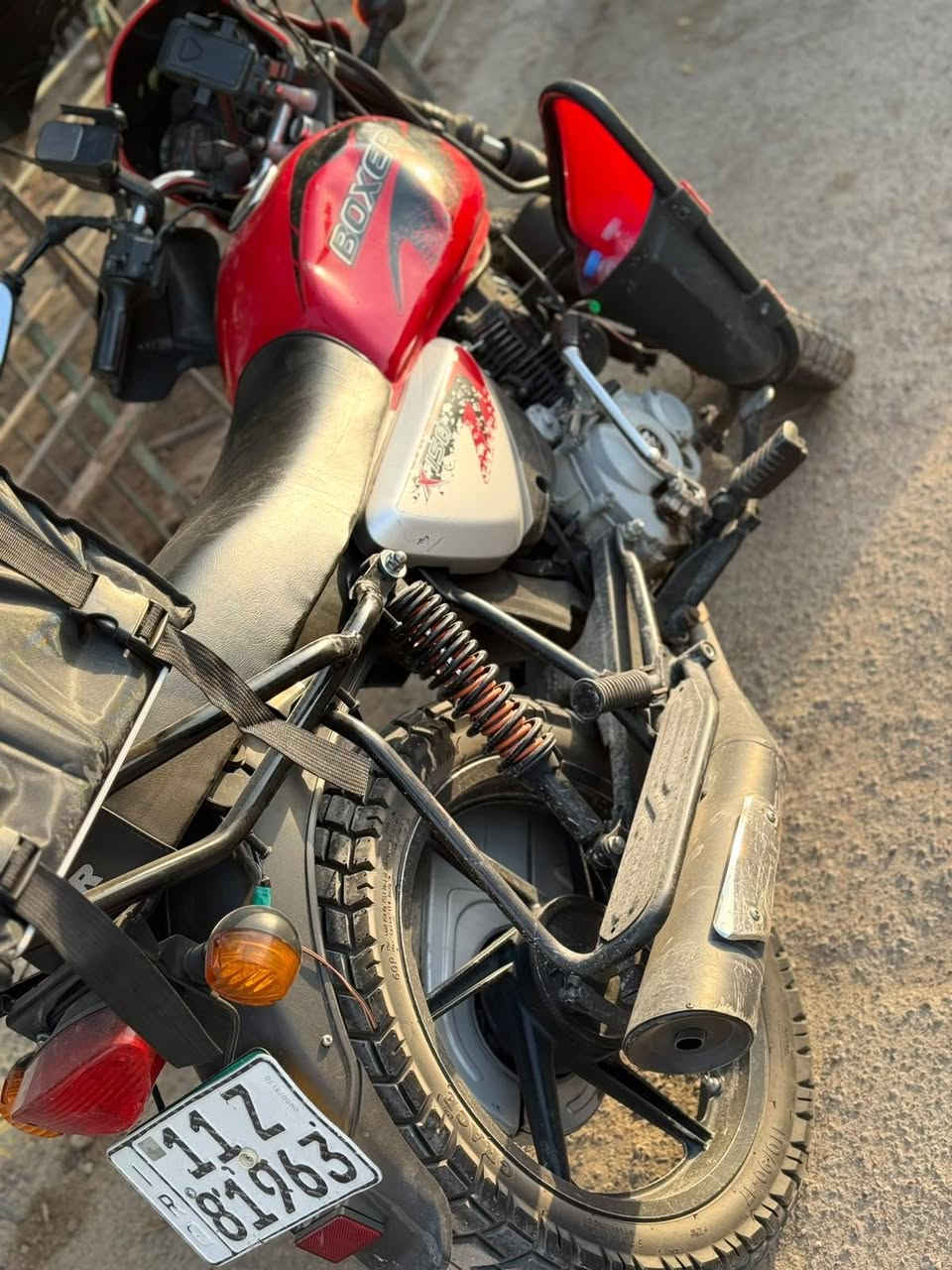بوكسر جبلي • ٢٠٢٢ • مفوله