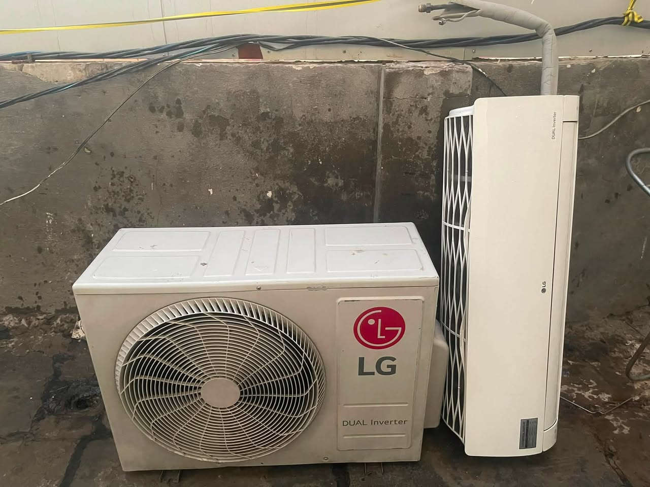 للبيع 2طن. شرط ثلج كامل حته الباترونات اصليه السعر 600.        ***********
