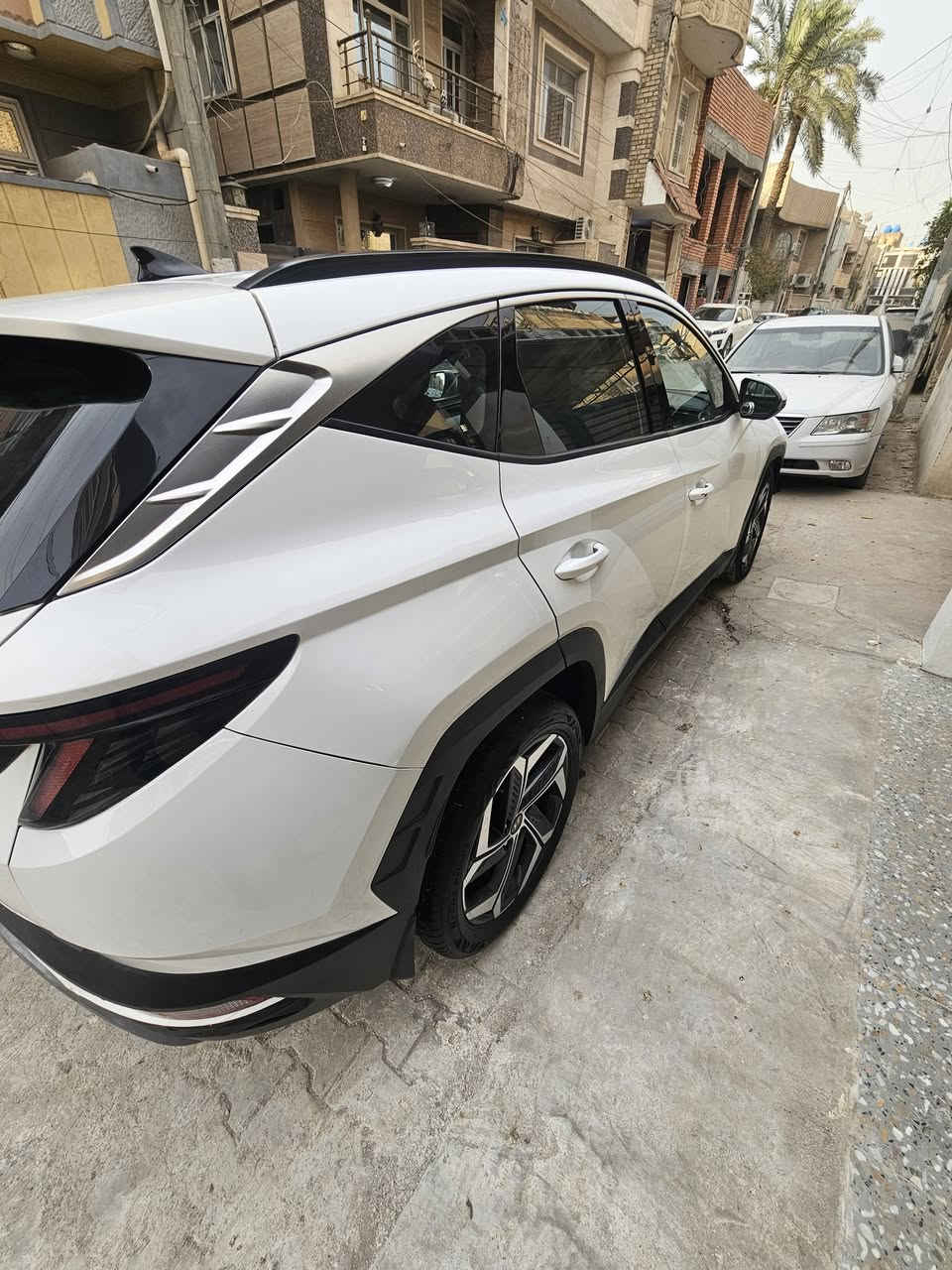 توسان خليجي • ٢٠٢٣ • ٨١٠٠٠