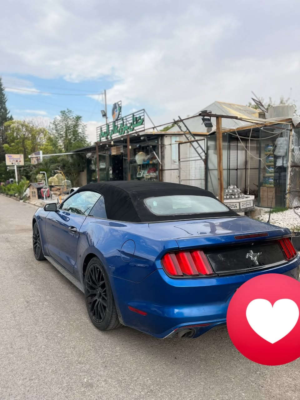 موستانك • ٢٠١٧ • رقم اربيل