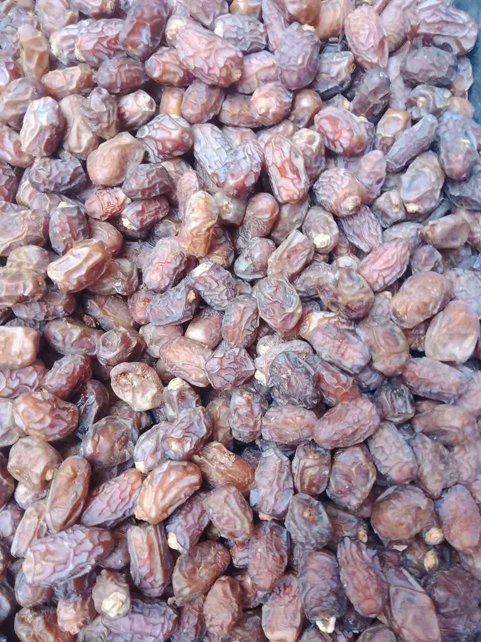 تمر برحي • بريم وحلاوي • بصرة شط العرب