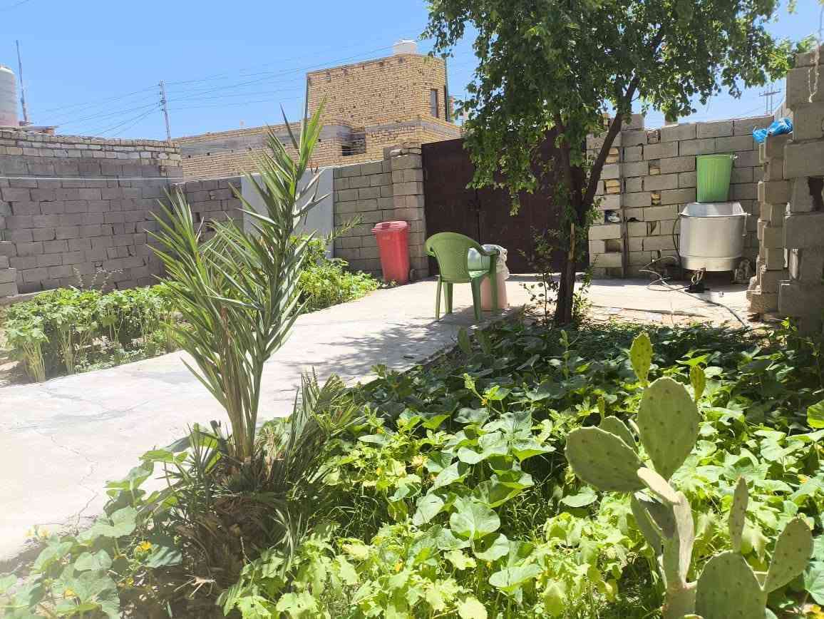 بيت زراعي للبيع مساحه 230 ع شارع العام طريق الزوار يبعد عن شارع ٤٠ متر بدايه فضليه شارع ماله عرضه 10 مجاري خدمات كامله بناء طابوك كامل وجاهز للعلم منطقه كلش حلوه سعر 48
وبي مجال ***********
