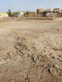 الصخيين • ٥٠٠م • طابو
