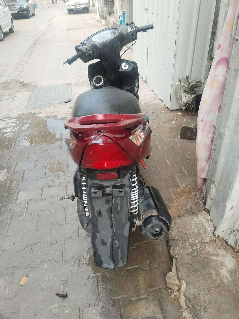 سكنس • مراوس • الحريه