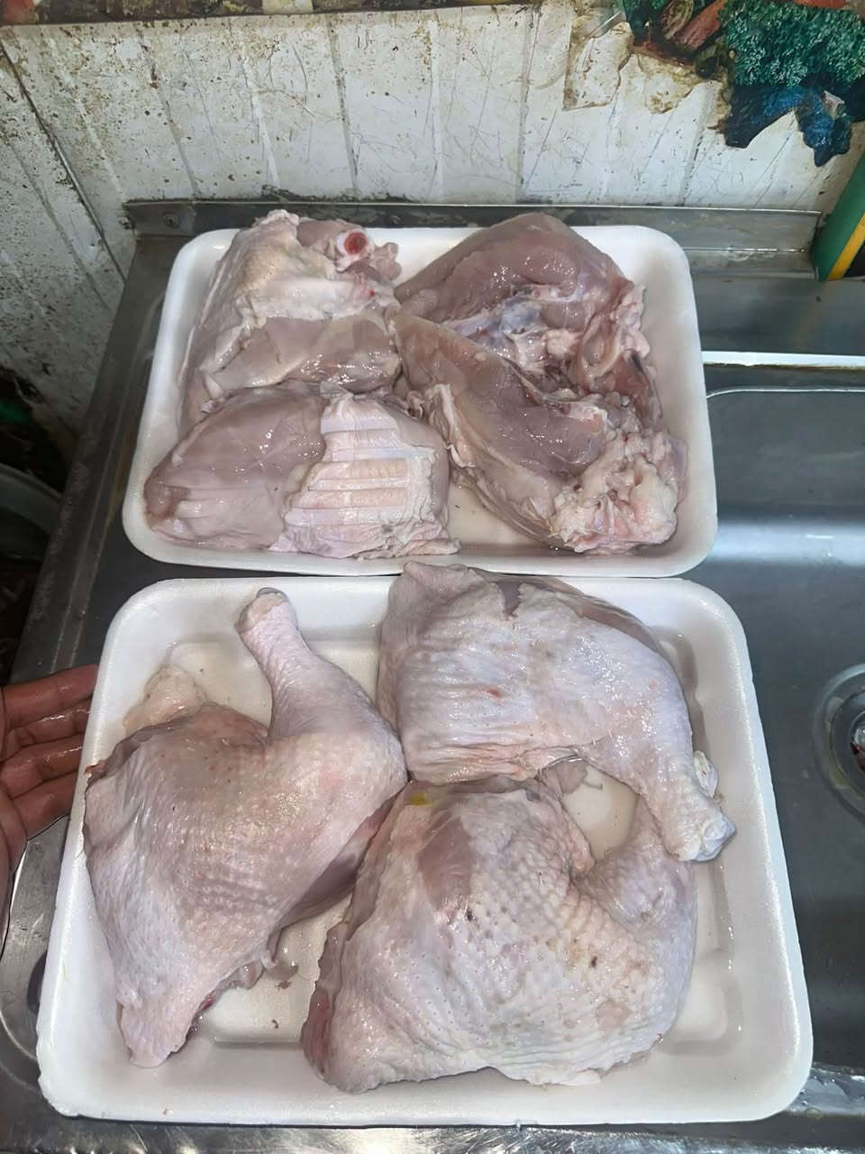 دجاج • الجربوعيه • ٢٤ ساعة