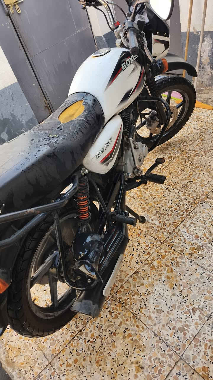 بوكسر جبلي • ٢٠٢٢ • مرقم باسمي