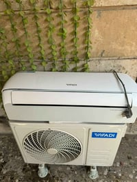 سبلت • طنين • جكوك