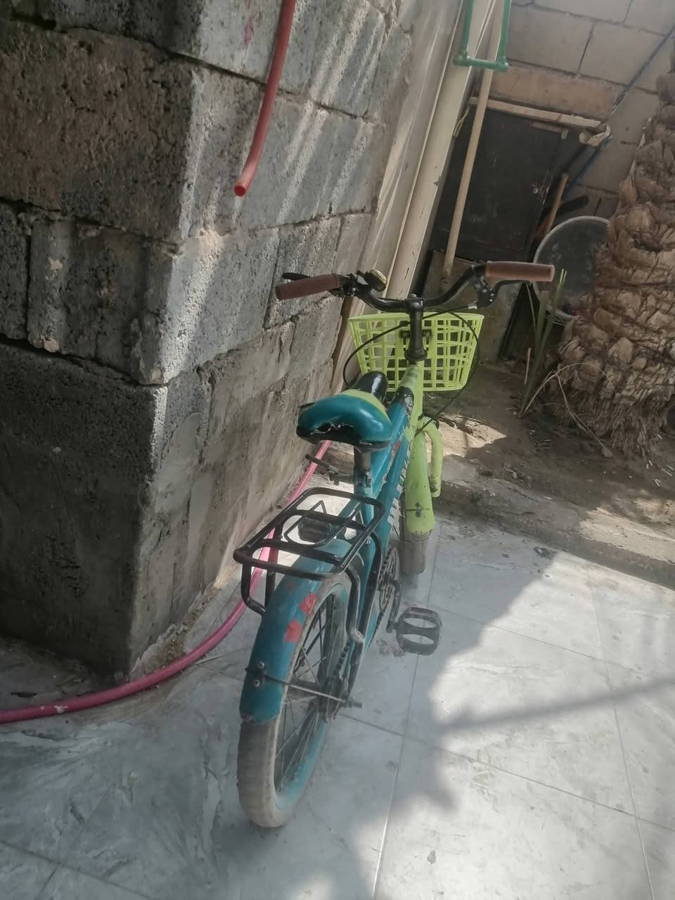 باسكل • للبيع
