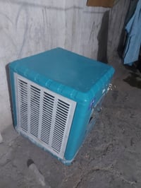 موبرده • شغاله • جاهزه