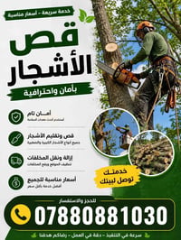 القفاصيل داخل الصوره