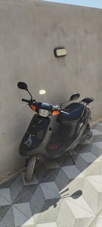 بوتين • جديد
