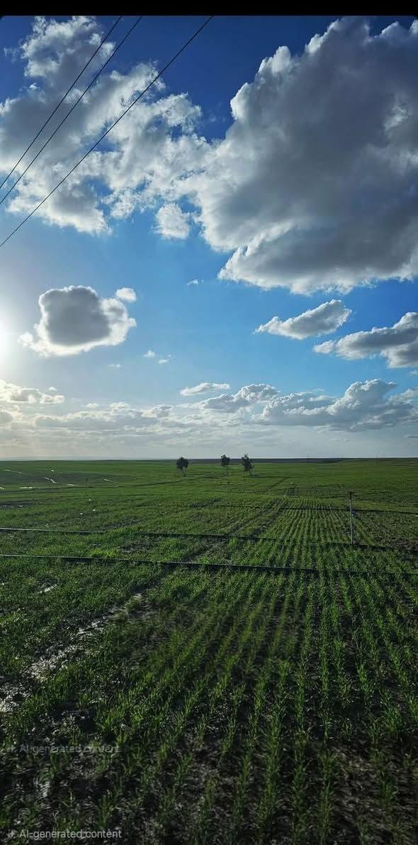 ارض زراعية للأيجار 🚜 
السلام عليكم 
#ارض زراعيه #للأيجار 
المساحة 63 دونم مع مرشاتها
محوله خاصه بيها بير وغطاس ابو 40 حصان 
الموقع قاطع الحلوات-حلوه سفلى-الشارع الرئيسي-مقابل مركز الشرطة.
قريبه من مفرق جسر صدر النهر

للأستفسار: ***********
