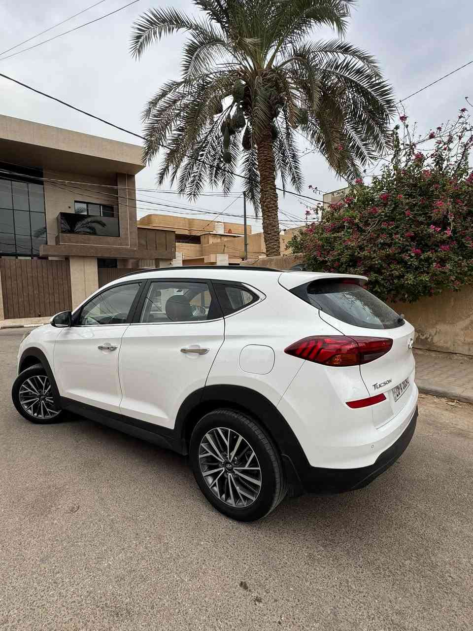 توسان • ٢٠٢٠ • رقم نجف