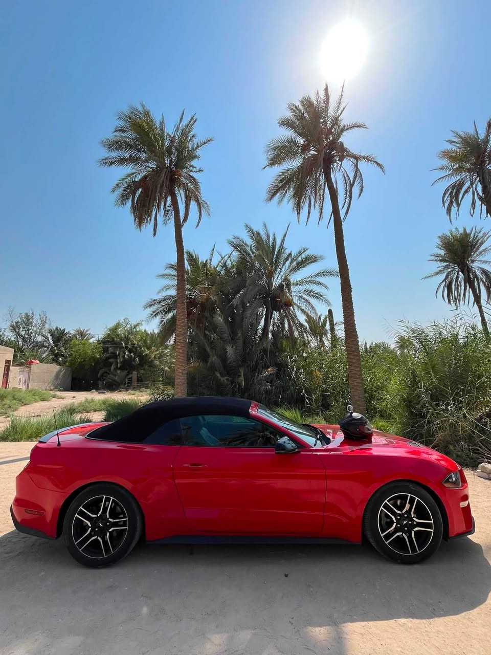 فورد موستنك ايكو بوست 2019 بريميوم فول 1/1
كير مكينة اكسل شاصي لغد كفالة بجم كبس 
حادث باب وجاملغ خلفي ايمن باب مبدل اصلي وجاملغ مصلح بدون كص ايرباك الكراسي فقط بنيد دبل كود بدون حادث امامي مكاني بغداد *********** السعر 145
