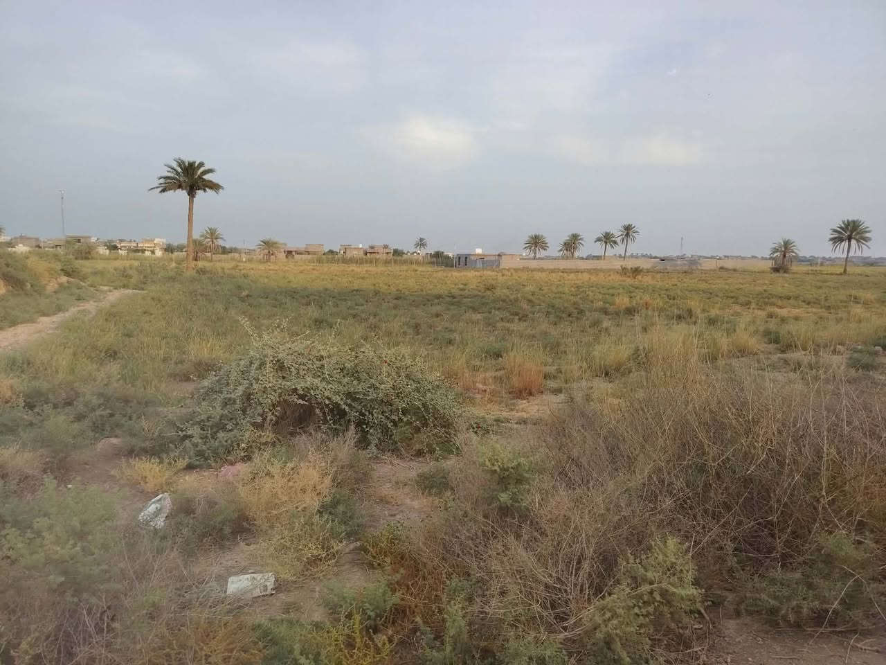 فلوجه الشهابي الثالثه • ٢ دونم • طابو زراعي سند ٢٥