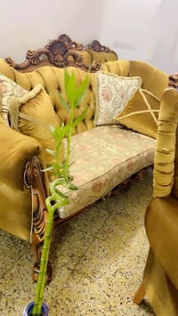 قنفات • ١٠نفرات • اربيل