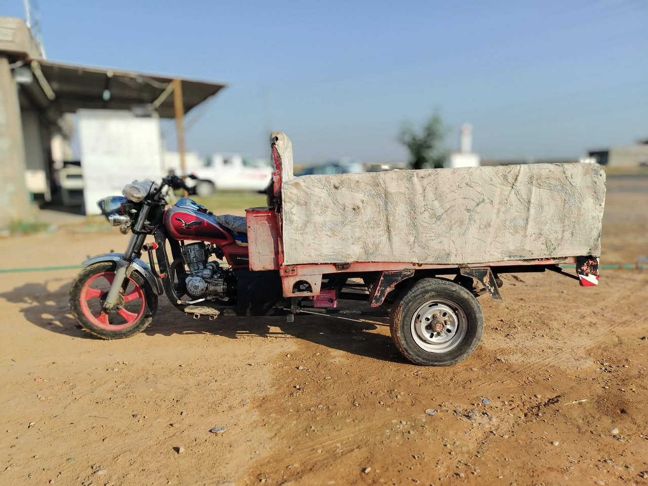ستوتة • ٢٠١٨ • بليتة