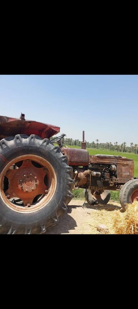 عنتر بدون للبيع مكان نجف ناحيه القادسيه موبايل ***********
