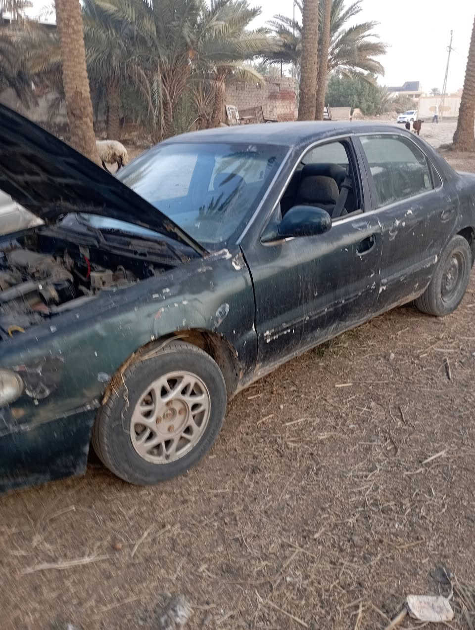 رقم نجف • سنوية ساقطة • بابل الهاشمية